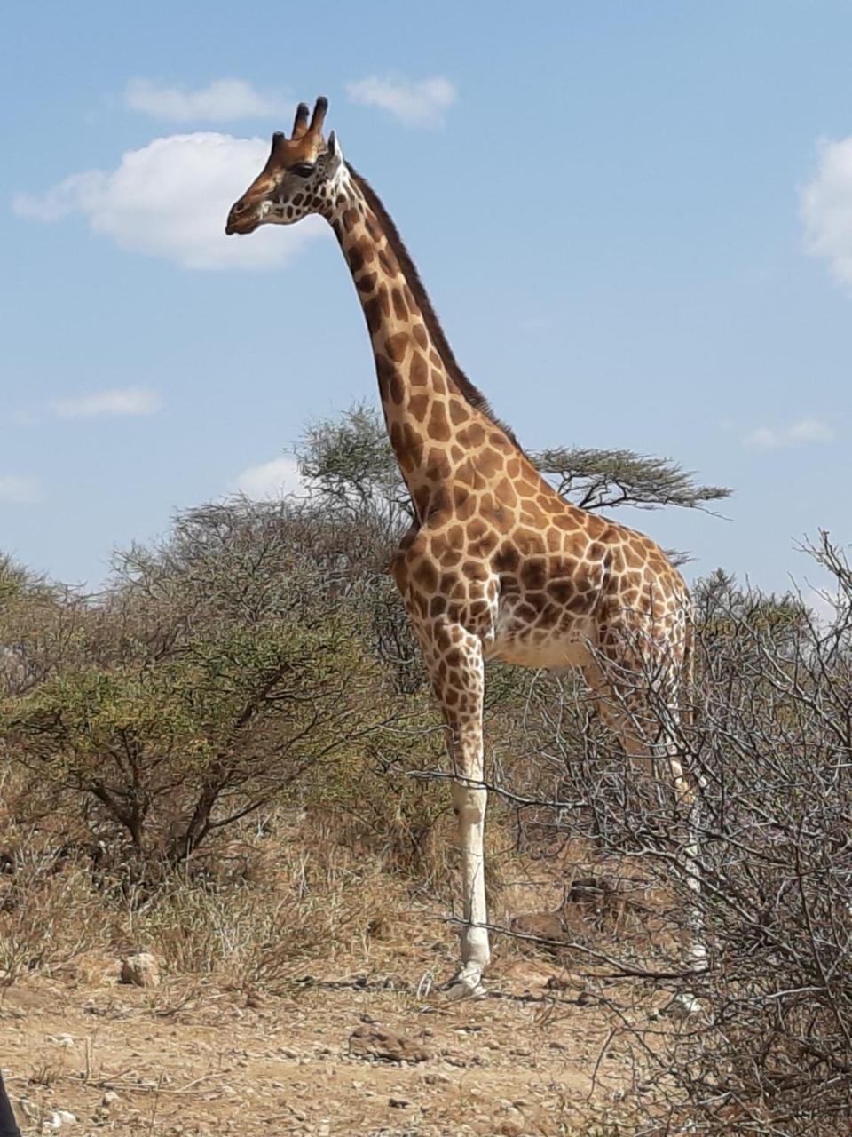 Sandai Resort Lake Baringo Ol Kokwe Buitenkant foto